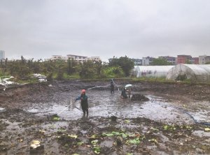 宝山河道鱼塘清淤